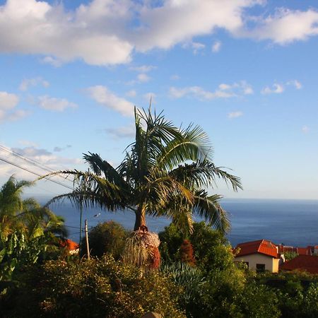 Lugar Dos Louros 2 Apartment Estreito Da Calheta Exterior foto