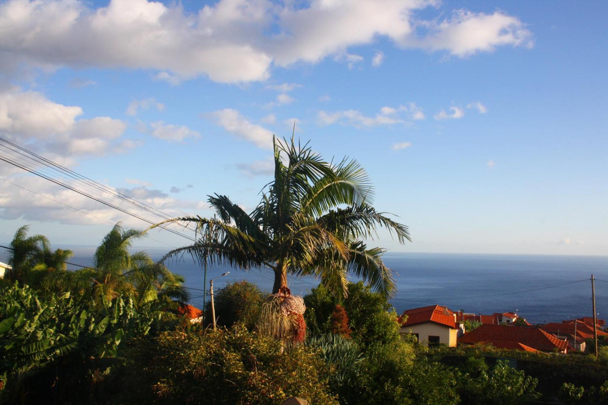 Lugar Dos Louros 2 Apartment Estreito Da Calheta Exterior foto