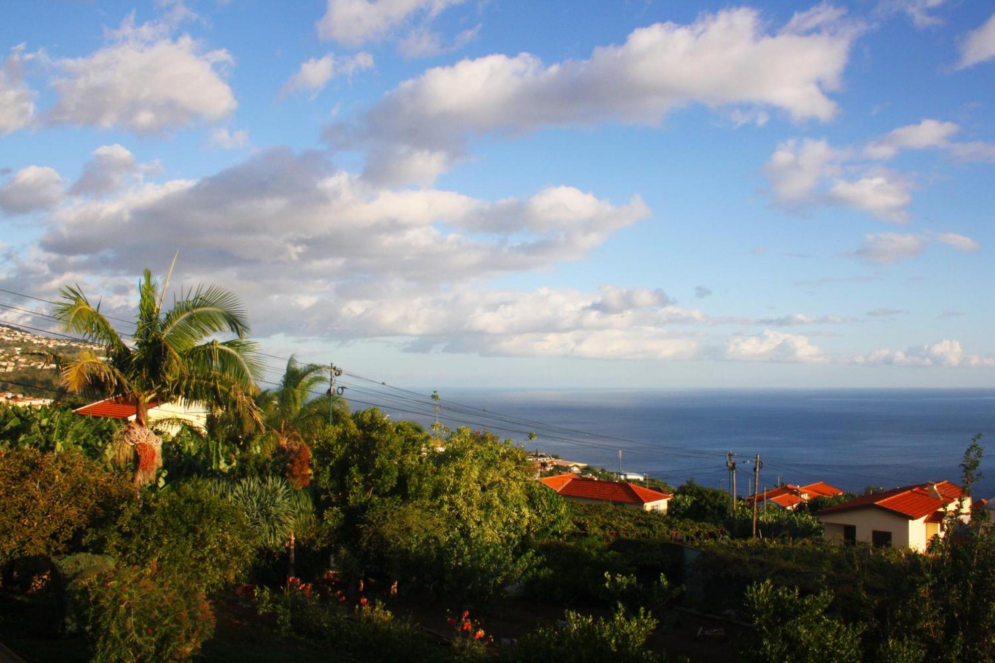 Lugar Dos Louros 2 Apartment Estreito Da Calheta Exterior foto